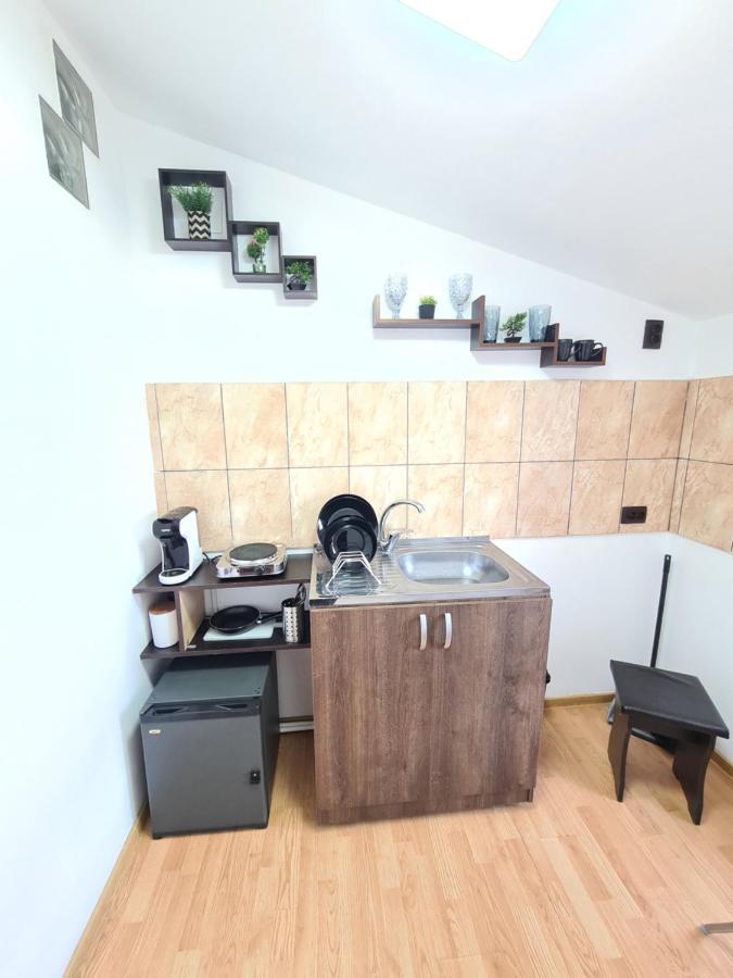 Garsoniera Privata Bed & Breakfast Bükreş Dış mekan fotoğraf